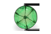 Emerald - clarity